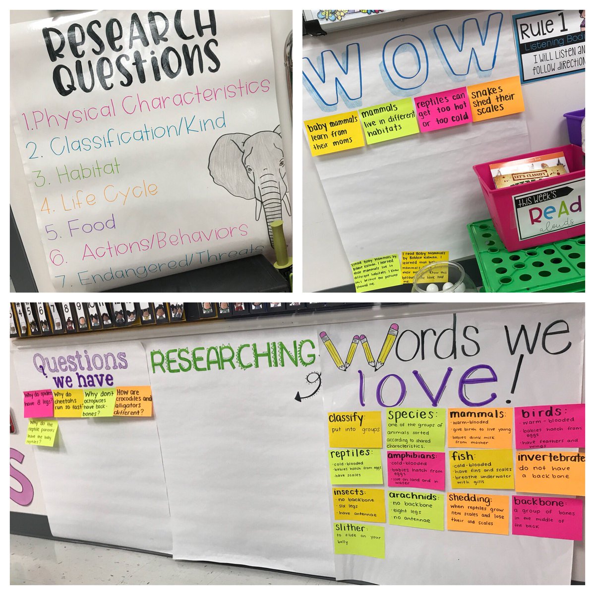 Some phenomenal Anchor Charts for anyone starting ARC Core Wild &amp; Endangered Animals Info Lab. Thanks, Ms. Castillo at <a href="/SLACSinfo/">Southwest Leadership Academy Charter School</a>. This could be super helpful in <a href="/SAU88LebNH/">SAU #88 - LebanonNH</a>, <a href="/PawtucketSchool/">PawtucketSchools</a>, and <a href="/WindhamSchools/">WindhamPublicSchools</a>. <a href="/AmericanReading/">American Reading</a>