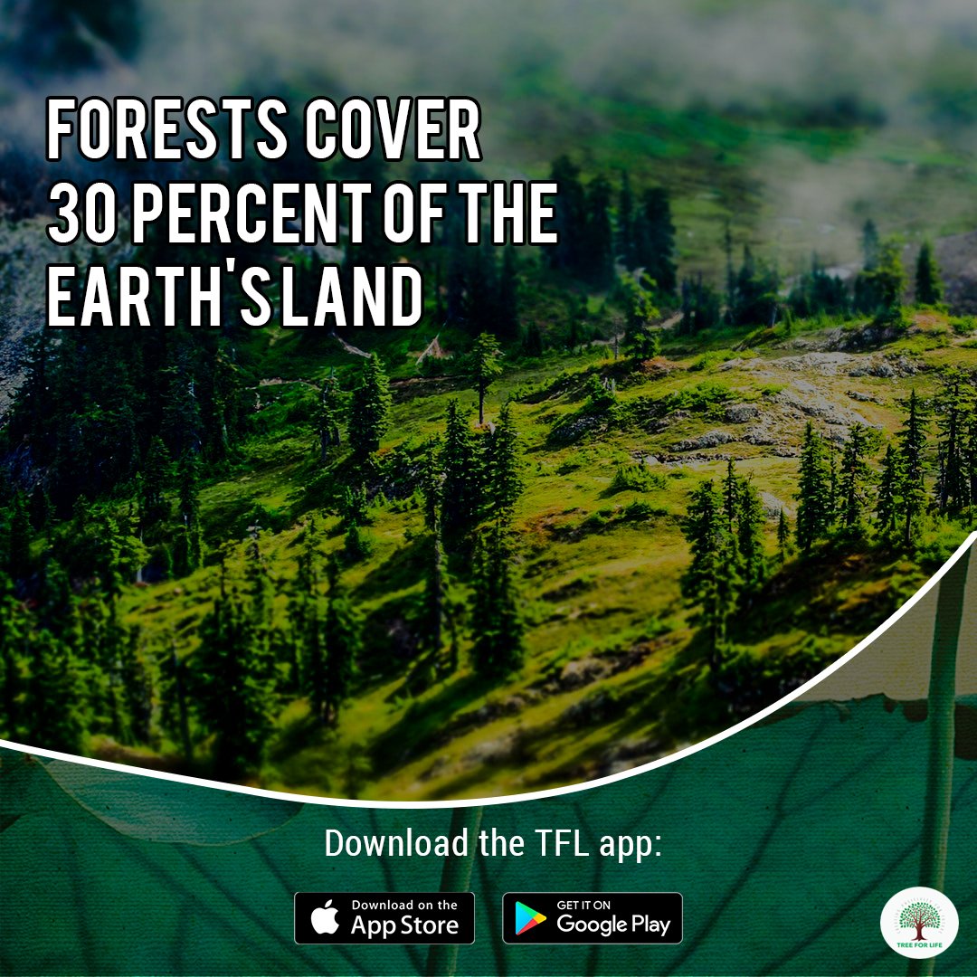 #PlantTrees #SaveEarth #SavePlanet #TreeForLife #TFL #TFLApp #MotherNature #TreePlantation

Download TFL App: bit.ly/2OINmrh