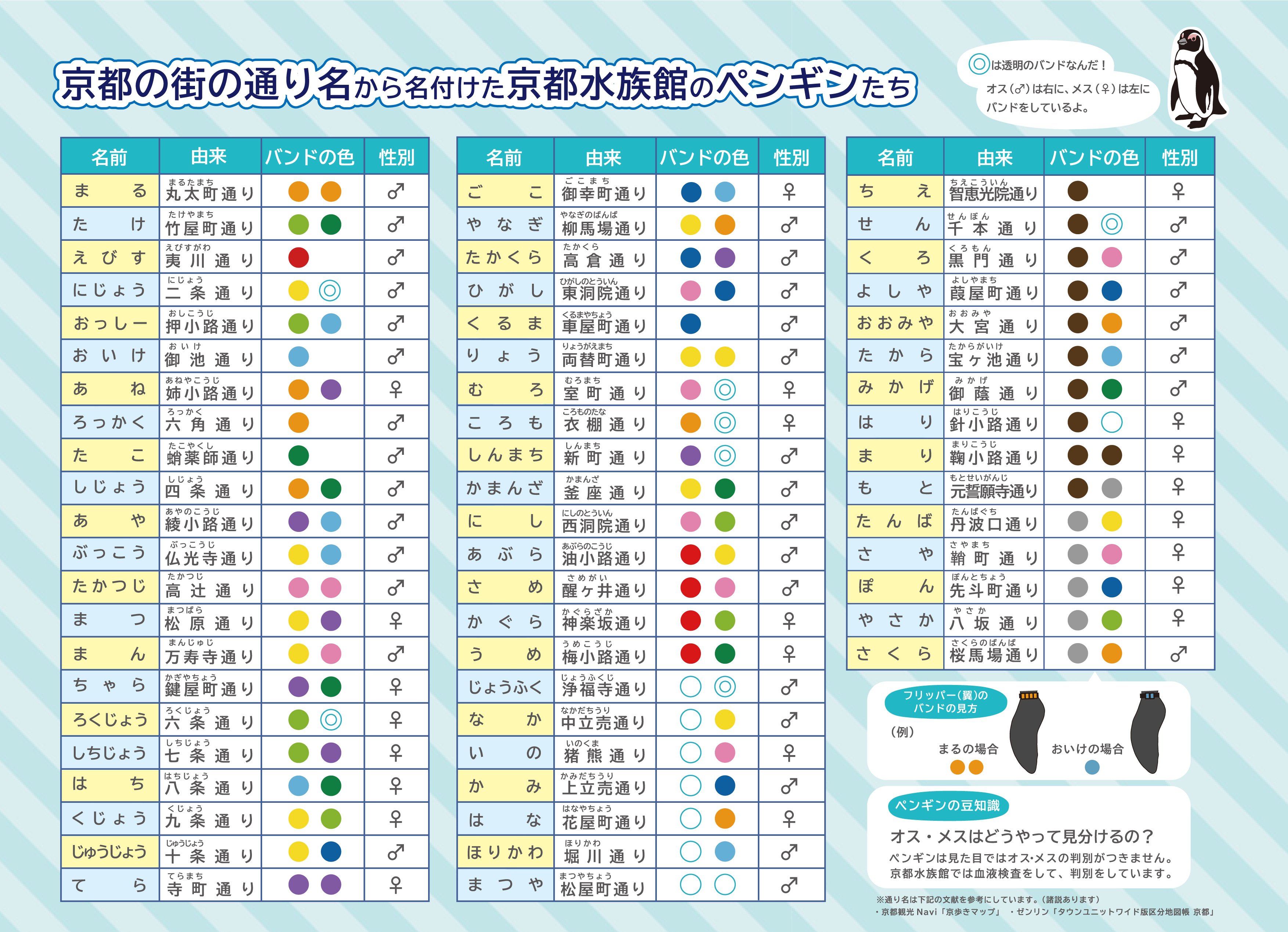 京都水族館 公式 実はドロドロ 京都水族館のペンギン相関図を作ってみました 禁断の恋や三角関係 59羽のペンギンたちにも実はドラマがあるのです 推しペン超選挙 T Co Dejq15ipua Twitter