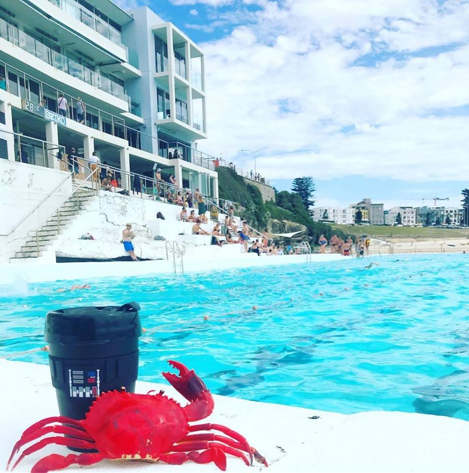 icebergsclub's tweet photo. Come on down and enjoy the pool side action just like Crabby! 🌊🦀 https://t.co/fCyUqIYvLi