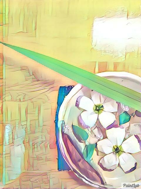 rabe_381's tweet image. #PaintLab

しゅごいアプリ(´・艸・`)