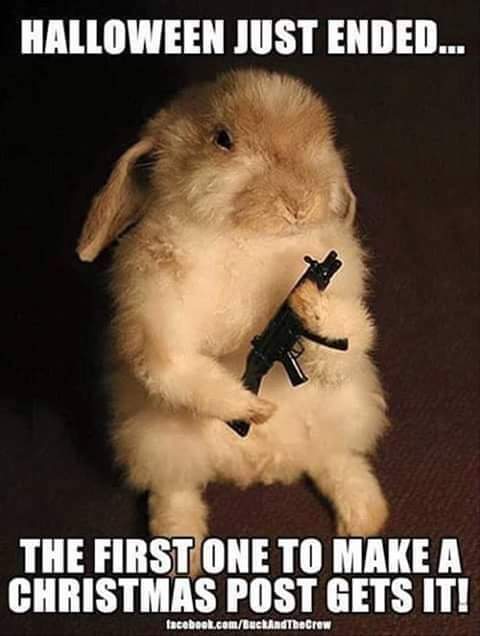 MrRealDeath's tweet photo. Listen to The Bunny https://t.co/CtmWv9h9jW