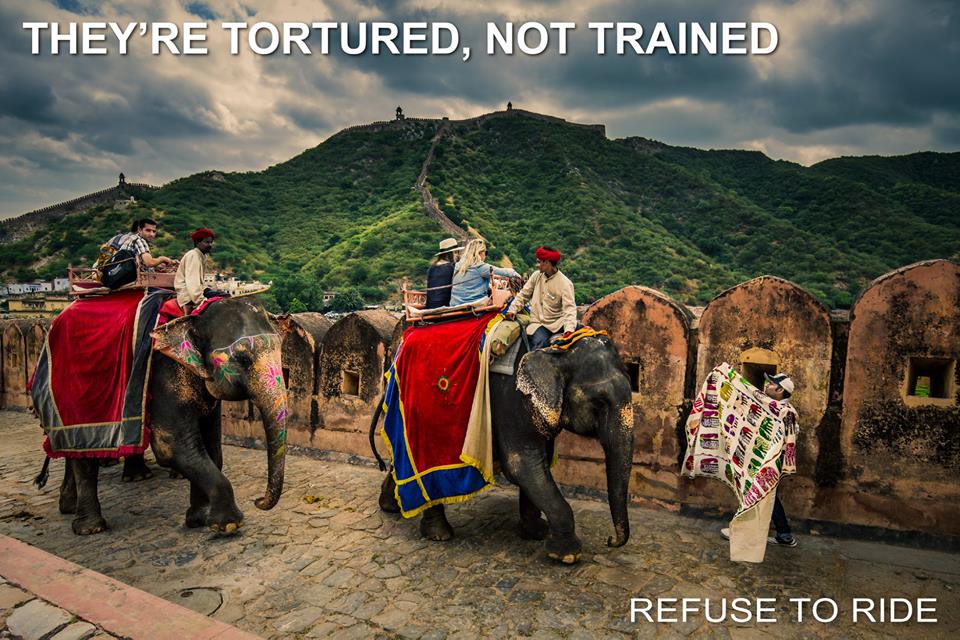 Carrying illegally heavy loads up steep,stone roads in the heat,day after day,with scant access to water or shade is NOT how elephants are supposed to live. #Refusetoride Sign our petition to end this abuse: goo.gl/64qzBX refusetoride.org