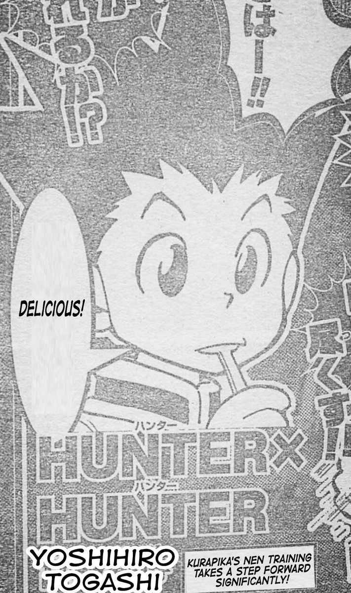 Hiatus Hiatus Hunter X Hunter Chapter 3 Preview Hiatus Hiatus Hunter X Hunter Chapter 3 Preview
