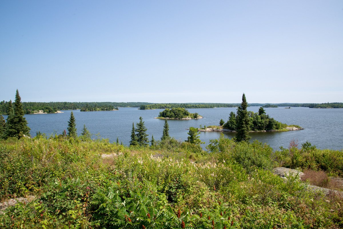 Biogeography.News (@jbiogeography) on Twitter photo Many theories explain diversity patterns on islands and habitat fragments: e.g. island biogeography, habitat amount hypothesis, habitat diversity hypothesis. Such interpretations may be more complementary than widely thought <a href="/EcoNarratives/">Zachary G. MacDonald</a> <a href="/UA_ACELab/">UAlberta ACE Lab</a> onlinelibrary.wiley.com/doi/full/10.11… Many theories explain diversity patterns on islands and habitat fragments: e.g. island biogeography, habitat amount hypothesis, habitat diversity hypothesis. Such interpretations may be more complementary than widely thought <a href="/EcoNarratives/">Zachary G. MacDonald</a> <a href="/UA_ACELab/">UAlberta ACE Lab</a> onlinelibrary.wiley.com/doi/full/10.11…