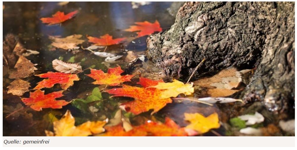 #Astrologische #Vorschau auf den November 2018: Alles andere als verhalten – ein dynamischer neuer Monat steht ins Haus
Mehr erfahren:goo.gl/GB89kT