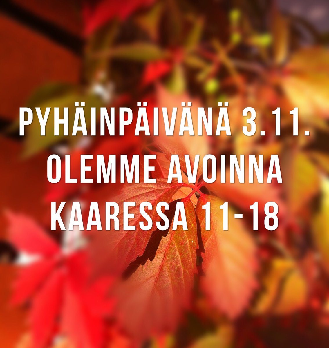 Ekasalongit's tweet photo. Pyhäinpäivänä hiukset kuntoon? Onnistuu meillä klo 11-18 @kaari_fi https://t.co/MPlz8BgevN