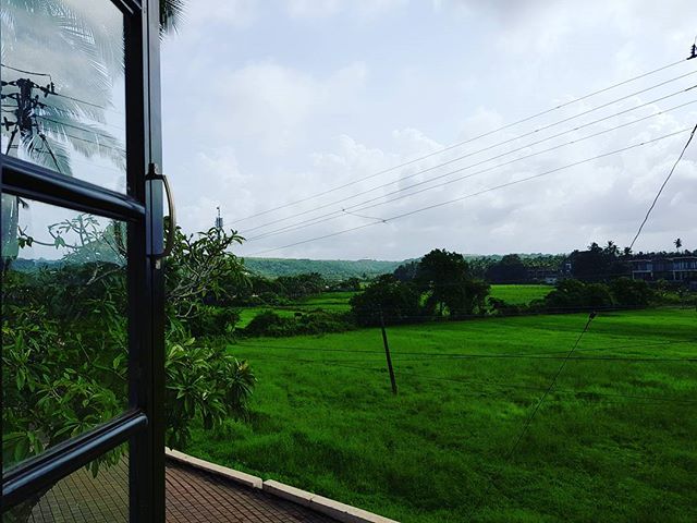 When they told you it was green in Goa, they weren't lying.

#goa #goavillage #nerul #villagelife #offbeat #travelgoa #discovergoa #offthebeatenpath
#regram @ranbirgandhi