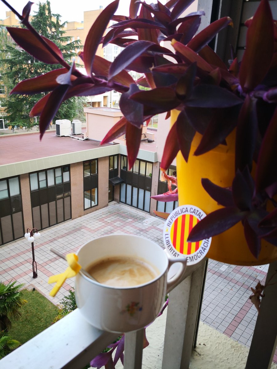 ifuya's tweet photo. #Ido #FreedomCatalonia #LlibertatPresosPoliticsiExiliats #Fires2018 #RepublicaARA #RepublicaJa #TardorCalenta #HivernEnces #JaSocAqui #Continuem i #Persistim. No sé si som dilluns o divendres? https://t.co/WrXovHFHYR
