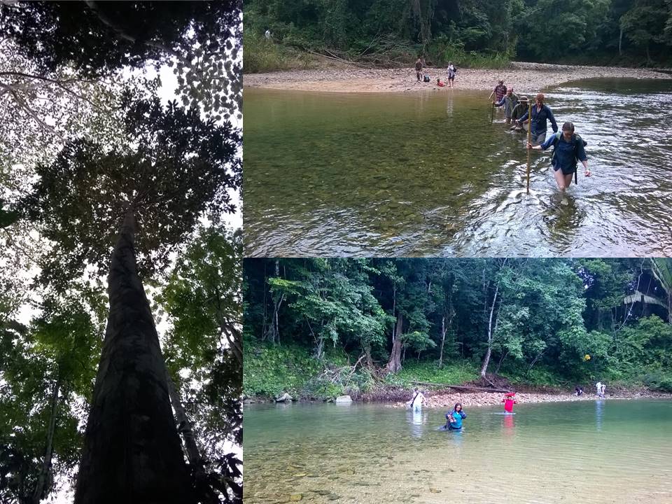 Dr Zoë Goodwin tweet media