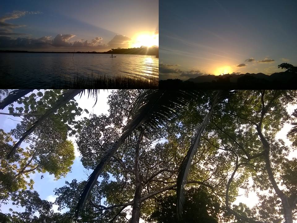 Dr Zoë Goodwin tweet media