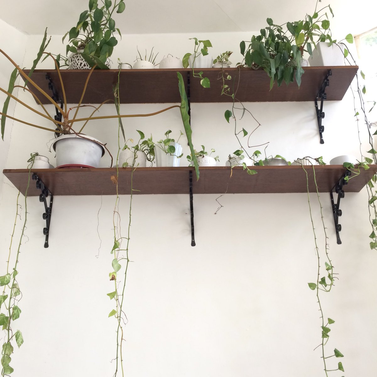 IamKayteeSan's tweet image. Life is really sweeter in Negros 💕
.
#negros #sweetlife #wheninnegros #cafe #lifestyle #lifestyleph #mobilephotography #phonegraphy