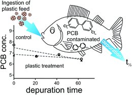 IRJ_Jrest's tweet photo. Determination of indicator polychlorinated biphenyls
(pcbs) by gas chromatography-electron capture
detector
#Polychlorinated biphenyls #Gas chromatography #Electron capture detector #Validation https://t.co/YHZlr3fIvD