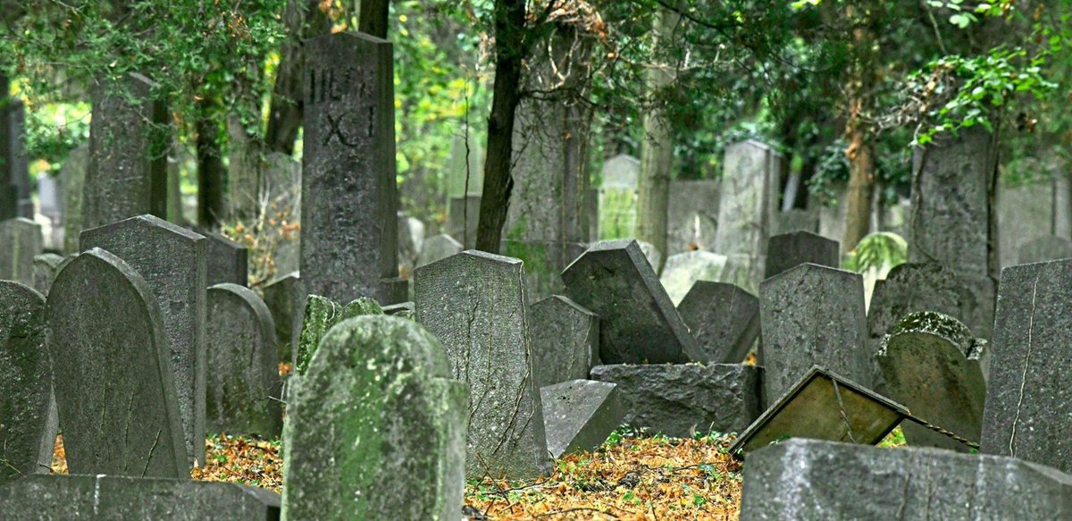 Passend zu Allerheiligen: Ab morgen kann jeder die in Wien sprichwörtliche "Schöne Leich" online auf Basis der GENTICS Contentmanagementplattform selbst planen.
buff.ly/2ql9HNa