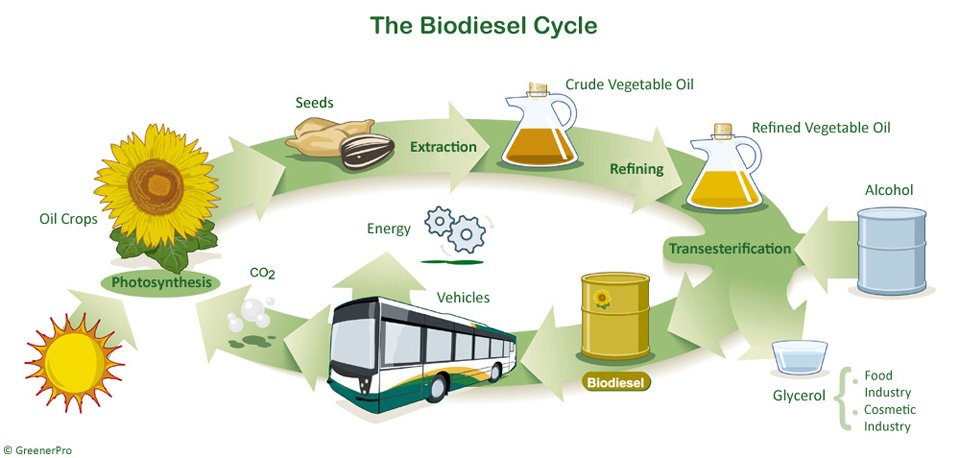 Biodiesel Market is anticipated to hit $94.8 billion by 2023 at a CAGR of 16.82%.
productmarketnews.blogspot.com/2018/10/biodie…
#BiodieselMarket #biodieselproduction #biofuelproduction #biodieselprice #alternativefuels #biodieselproductionequipment #algaeoil #biodieselreactor #biodieselcompany