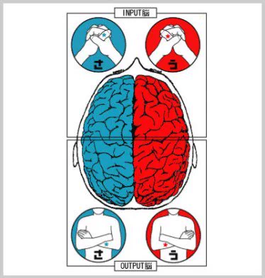 あなたはどっちの脳？10秒で分かる自分の脳のタイプで頭の使い方を知ろう！