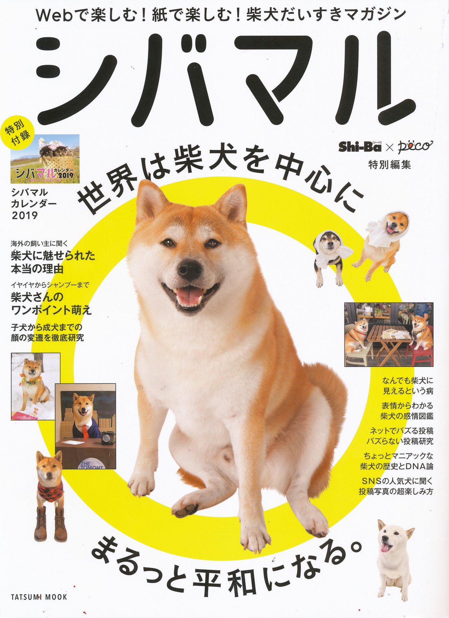 柴犬雑誌まとめ売り シバマル vol.4」 柴犬 雑誌 - メルカリ
