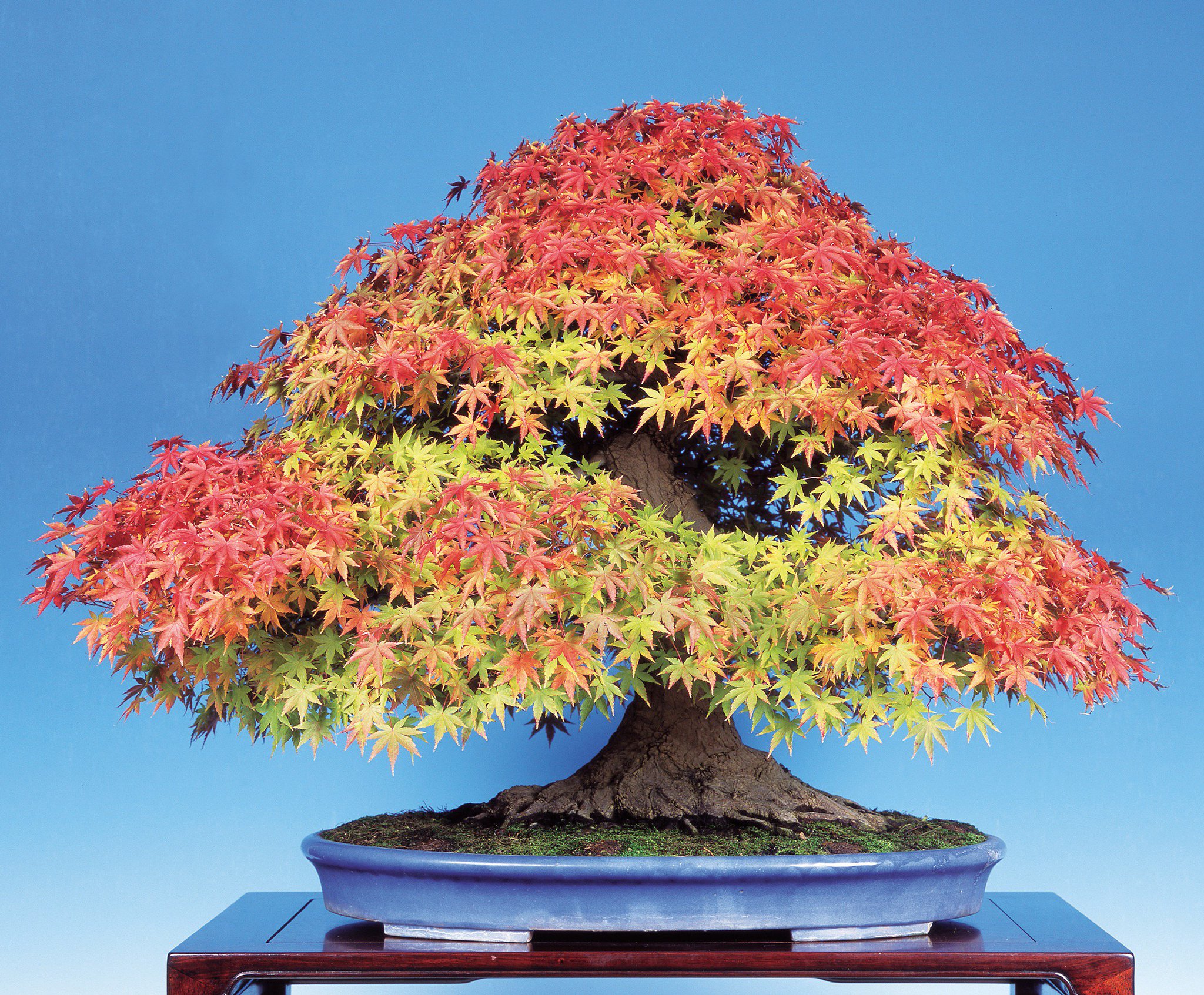 陶芸凌山　松尾重利　銘　「雲海」　花生　大作　上位作　共箱　日展作家　高さ27㎝ 陶芸凌山 松尾重利 銘 「雲海」 花生 大作 上位作 共箱 日展作家