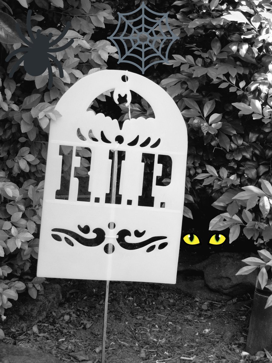 AndrewCaruana7's tweet photo. HAPPY HALLOWEEN 🎃👻
#HappyHalloween2018 https://t.co/31sGLWLSnd