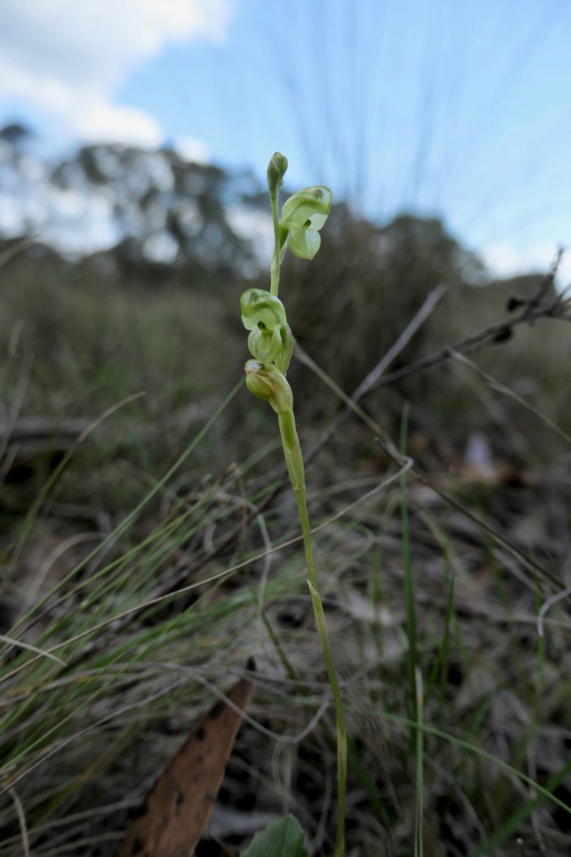 Gordon Smith tweet media