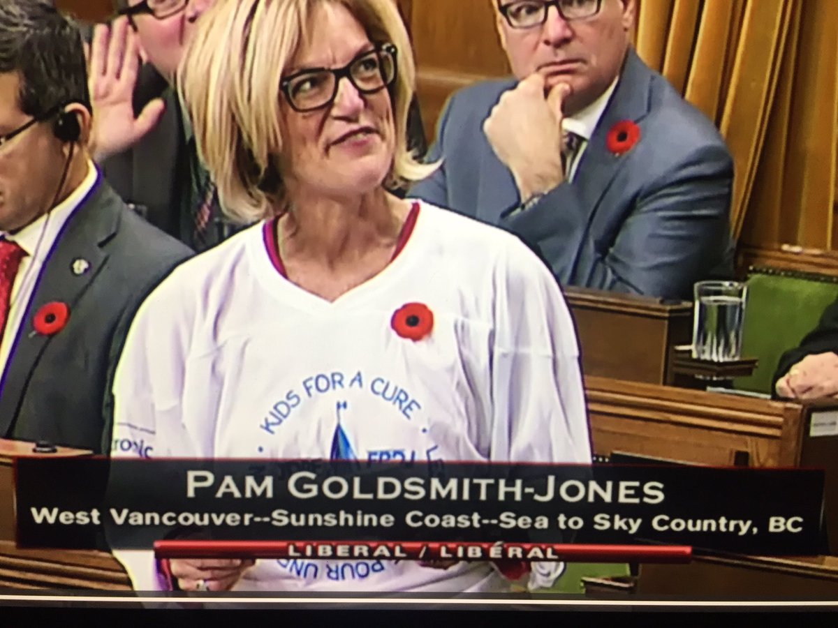 TempleScott's tweet image. MP @pgoldsmithjones stood up (in the House) for the children across Canada with Type 1 diabetes. Thank you Pam for your compassion, dedication and hard work for this important issue. Your advocacy and work with @JDRF_Canada has been invaluable. #KidsForACure #TeamT1D #CDNpoli