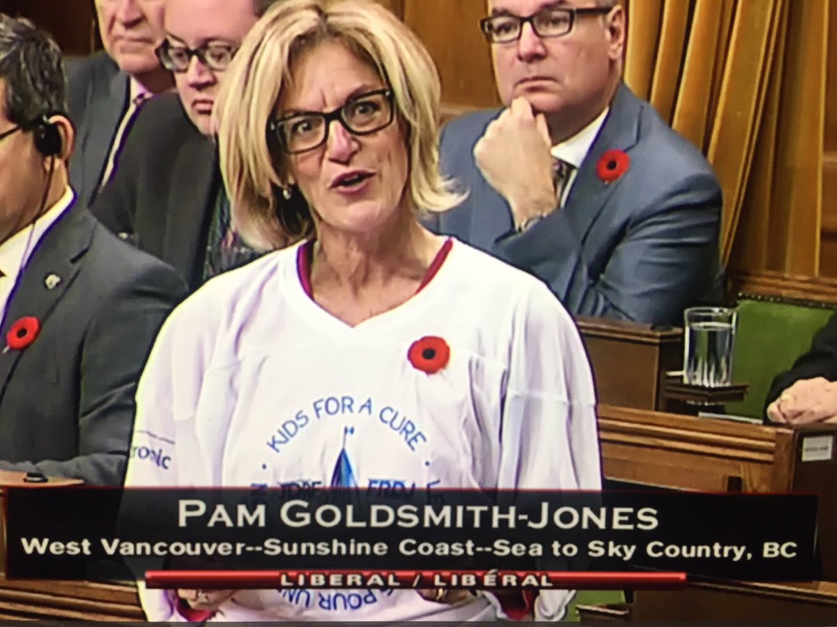 TempleScott's tweet image. MP @pgoldsmithjones stood up (in the House) for the children across Canada with Type 1 diabetes. Thank you Pam for your compassion, dedication and hard work for this important issue. Your advocacy and work with @JDRF_Canada has been invaluable. #KidsForACure #TeamT1D #CDNpoli
