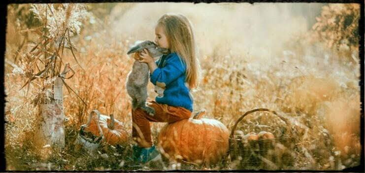 何をしても
どこか虚しくて
ぼんやり　寂しい
気持ち溢れて
きらきらした時間を
思い出しながら
部屋にこもって
泣きそな人の夜が
今日だけは
　少しだけ
短くなるといぃな
…･ο*〇･:＊☆…
#ハッピーハロウィン