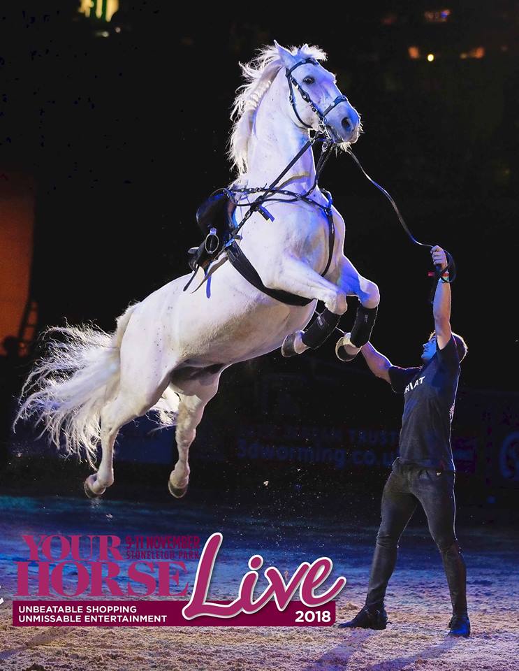 Your Horse Live tweet media
