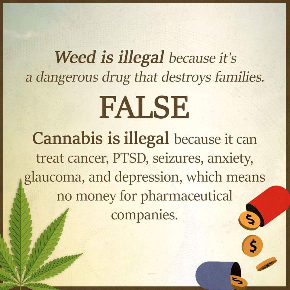 cheechandchong's tweet image. 