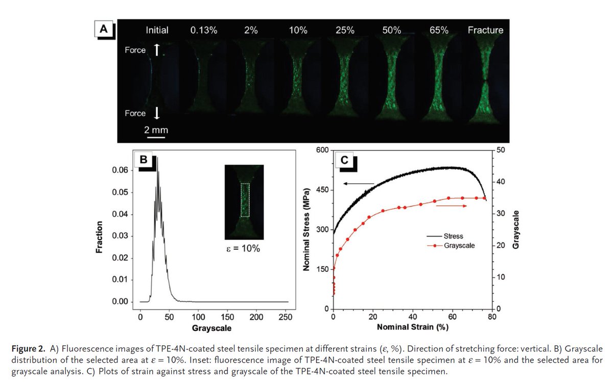 read microgenetic approach