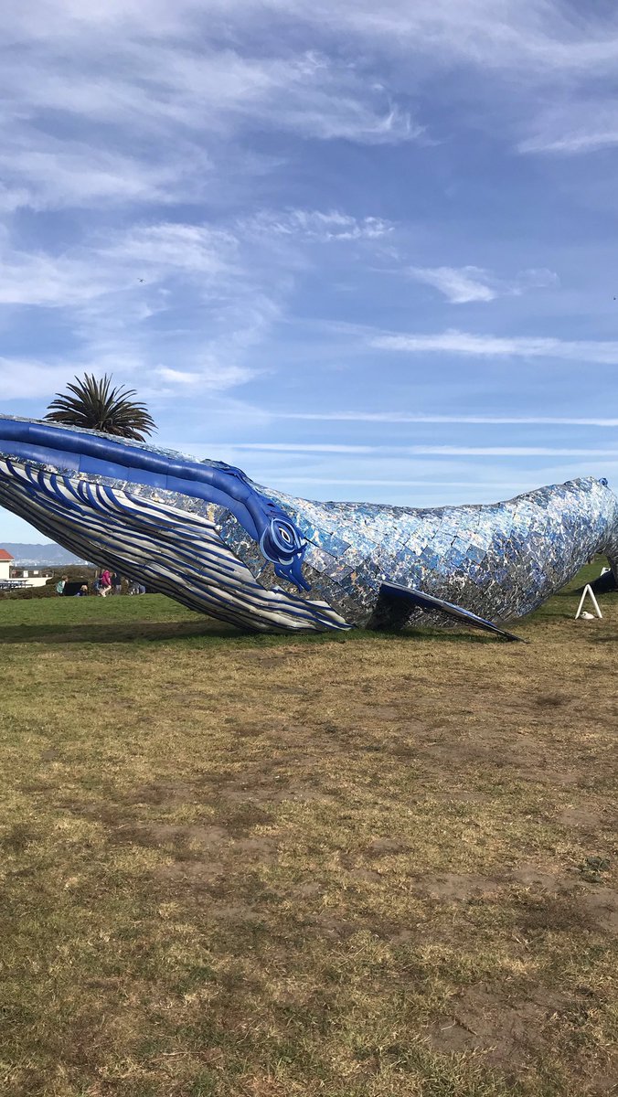 Whale-O there! #sealife