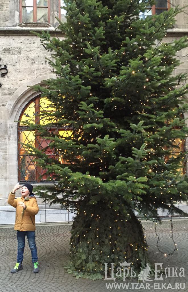 TzarElka's tweet image. Дорогие друзья, до зимних праздников осталось совсем недолго. Позаботьтесь заранее о своей «Новогодней красавице»!
Скоро, очень скоро приближается время фотосессий:
Я и Елка,
Я под елкой,
Я за елкой,
Вместо Елки тоже я...!
#царьелка #купитьелку #фотоелки #елкаискусственная