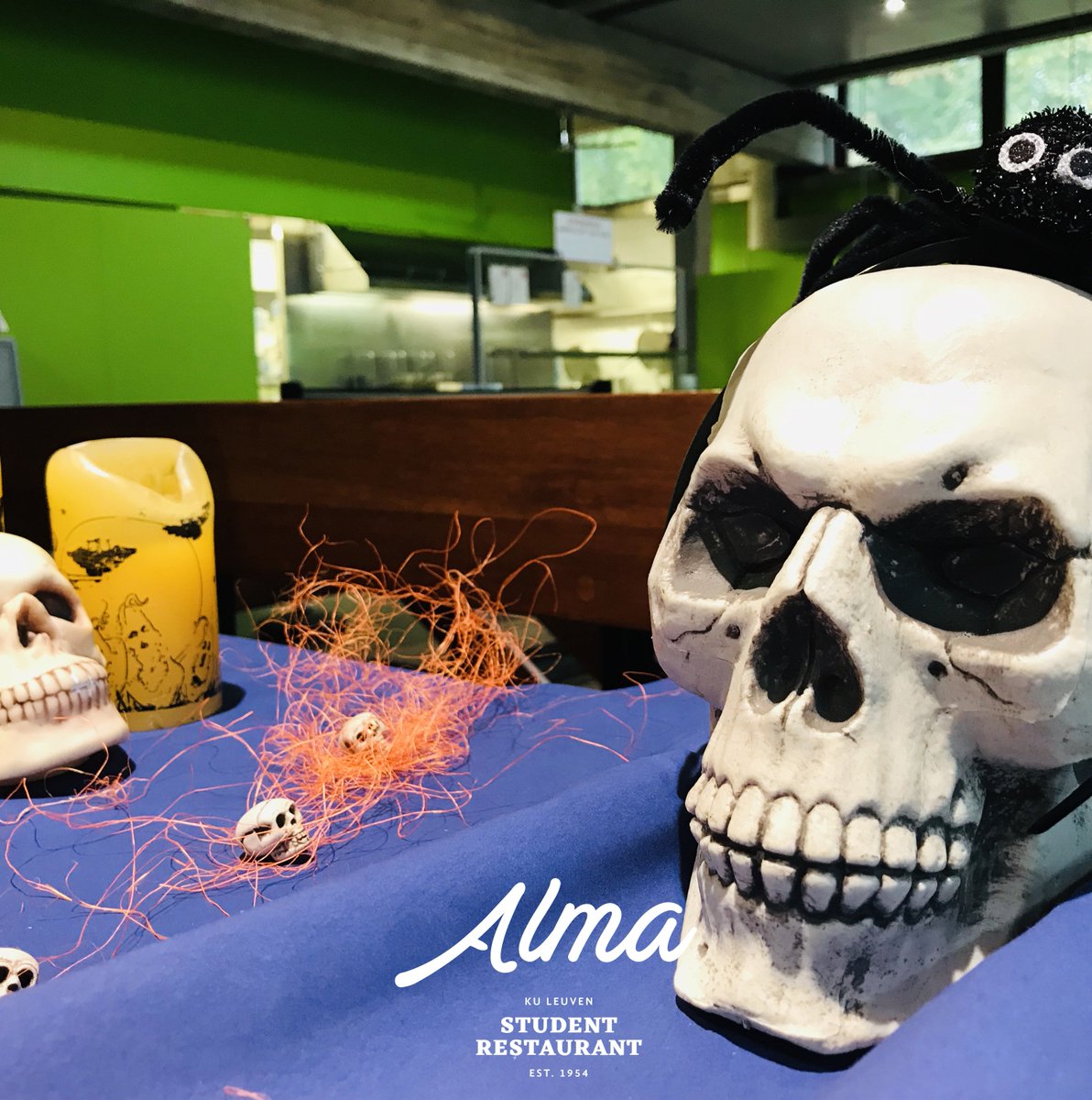 almakuleuven's tweet photo. HAPPY #halloween🎃👻 #almakuleuven #instagreat #instagood #potd📷 #kuleuven #leuvencity #studygram https://t.co/tTLVTg1U3P