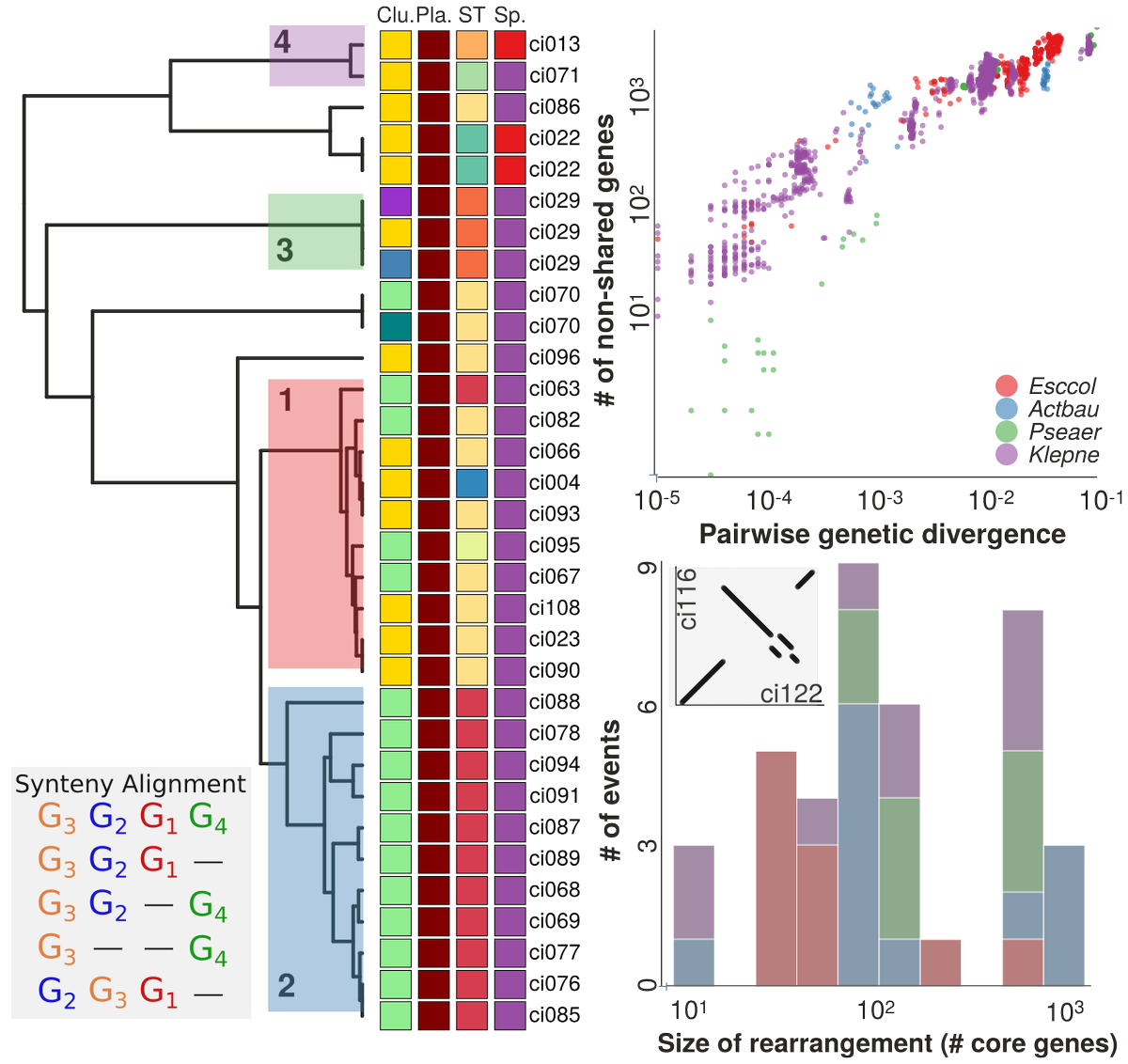 Hello, world! Richard Neher, Adrian Egli and I just finished a project quantifying the importance of HGT in the spread+evolution of carbapenem resistance. Using ONT and Illumina tech, we assembled 115 complete genomes and found huge structural diversity. doi.org/10.1101/456897