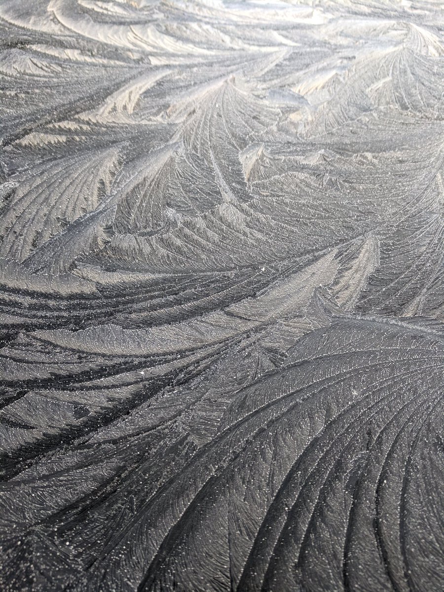 JamesHVoices's tweet image. Who&apos;s a pretty nature? You&apos;re a pretty nature! #icepatterns