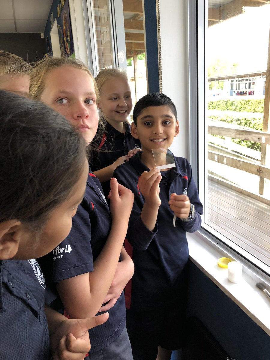 brendak80's tweet photo. Whetu CSI update... learning to take fingerprints @imagineNPS @kt_heaven @juliel_loft @Neil_NPS https://t.co/8IHNgKoX9v