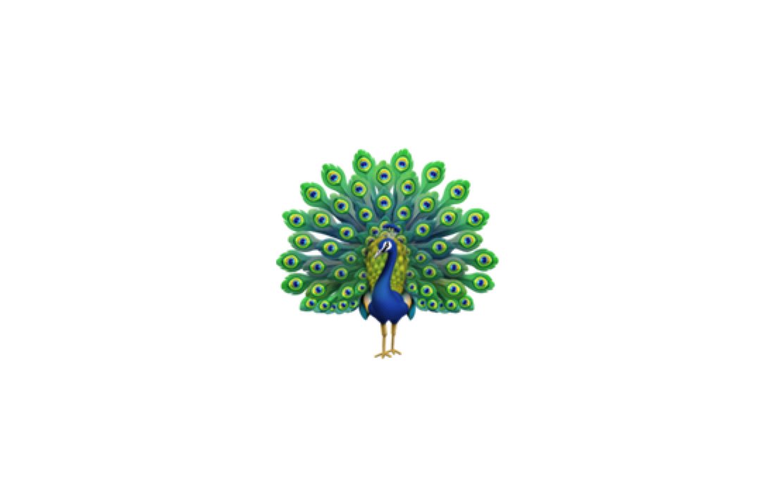 Emojipedia 📙 on Twitter "New in iOS 12.1 🦚 Peacock https//t.co