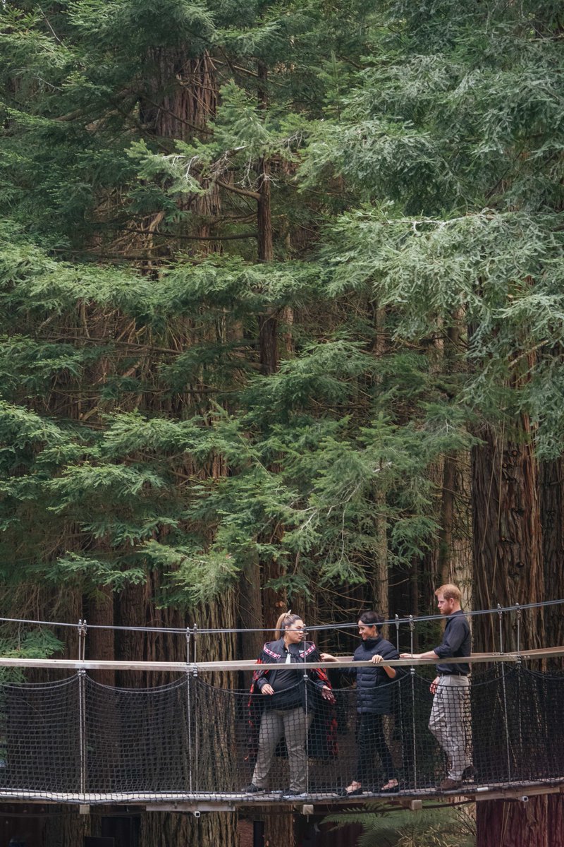 Taking a stroll along the Redwoods Treewalk in Rotorua, a series of 23 suspension bridges traversing the gaps between 22 majestic 100-year old trees, each with their own living deck to ensure viewing platforms adapt to the trees’ rapid growth without any harm. #RoyalVisitNZ