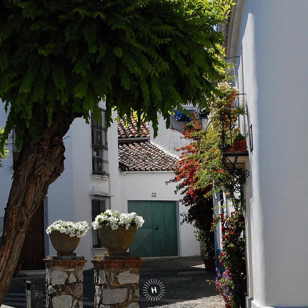 destinohuelva's tweet photo. Pueblo hospitalario, bello, pictórico y serrano... #CortelazorLaReal 😍⛰ ¡Apúntate lo siguiente en la agenda!
👀👇👇
II Ruta de la tapa 🍷🥘🧀🍄 del 9 al 11 de noviembre.
#SienteHuelva #HuelvaLaLuz #HuelvaMuchoQueVer #SierradeAracenayPicosDeAroche https://t.co/qLgz3BMiBK