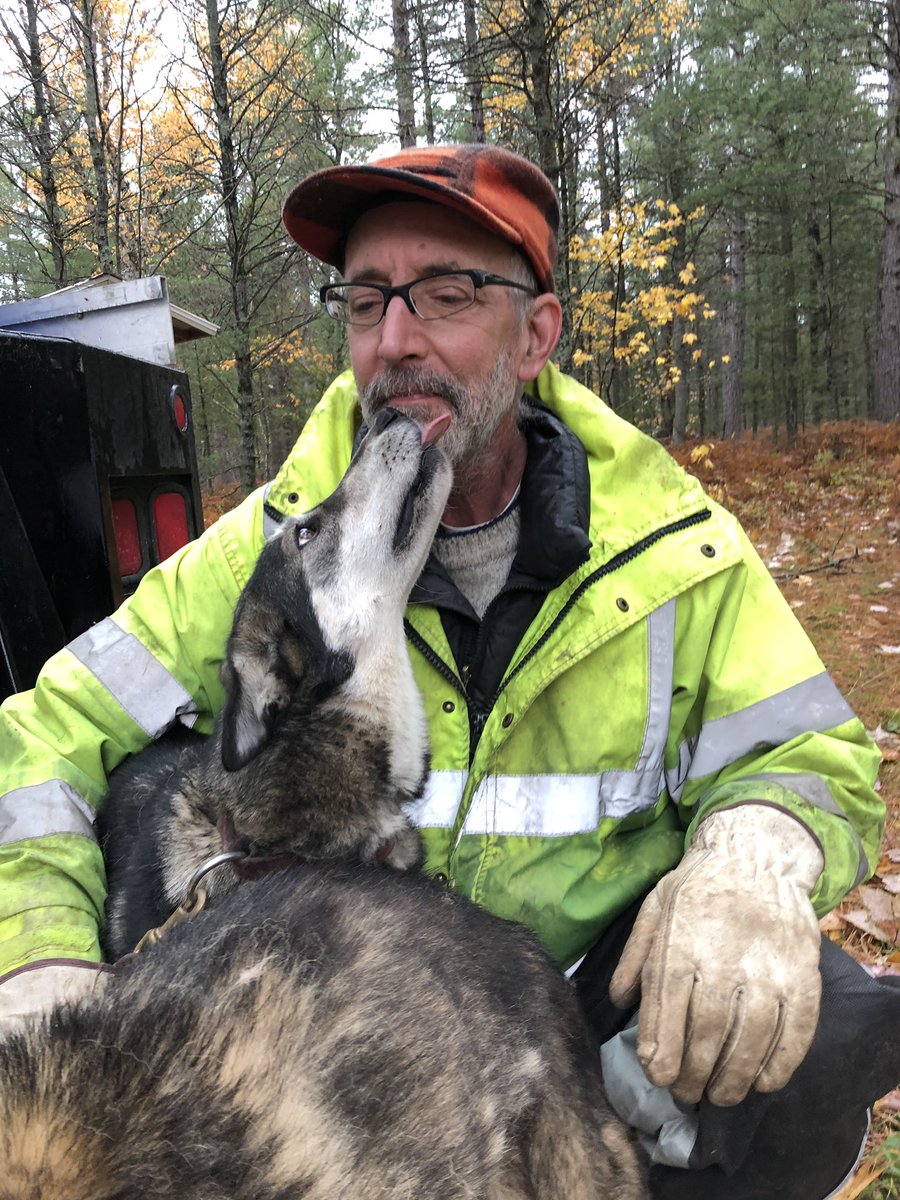 A man in dirty clothes and reading glasses sits with his arm around a husky as she looks up and licks his chin. In the next pic, he hands out candy to trick-or-treaters.