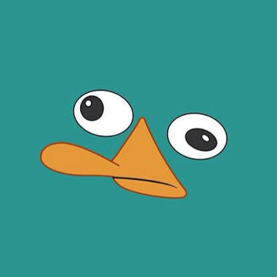 sidekickperry's tweet image. #NewFlex