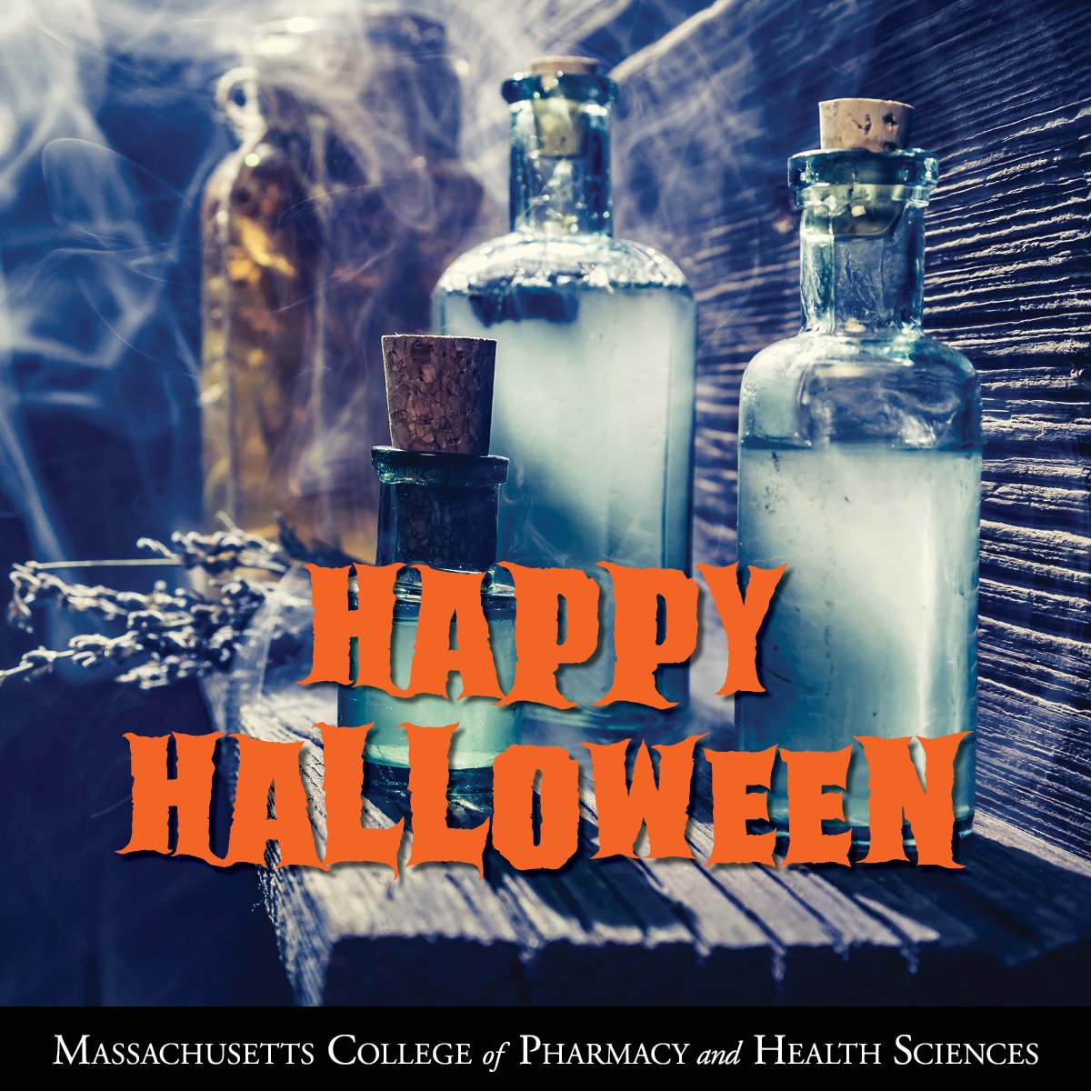 Happy Halloween from all of us at MCPHS!