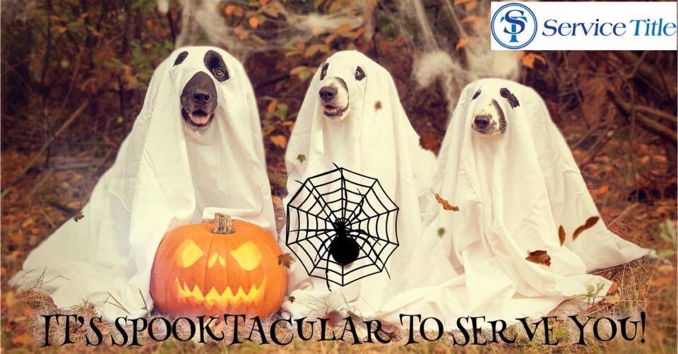 ServiceTitle's tweet image. It is Spooktacular to Serve you!
🎃 Happy Halloween👻 

#SpooktacularService
#NoTricksJustTreats