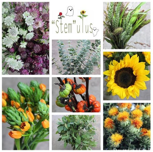 StevensandSon's tweet photo. Spooky Stemulus!! 🌱👻 41 products to choose from! These prices are so good it’s spooky!https://t.co/92uzuYdLsm
Get those orders in before 330 today!! 303-279-6254
#stevensandson #stevensandsonwholesaleflorist #flower #flowers #florist #freshflowers #inspiredbyflowers #colorado https://t.co/HSA9U0I487