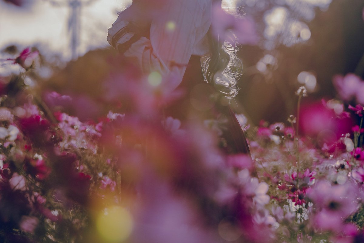 【PortraiT】

『 秋桜 』

photo📷かずきさん(<a href="/05kazu_ki22/">和@ST.NEIGE</a>)

#ぽんとれ会 #portrait #ポートレート 
#写真で伝えたい私の世界 #コスモス
#秋桜 #能古島 #キリトリセカイ