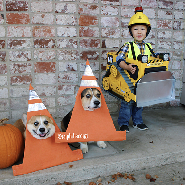 CaterpillarInc's tweet image. Wishing all our fans a fun and safe #Halloween! 

(📷: @ralphthecorgi )