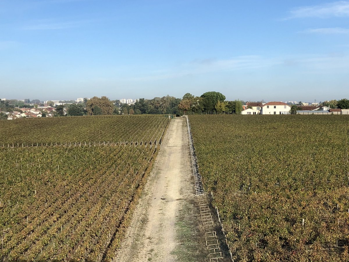 @HautBrion 70, was the first #firstgrowth  I tasted. It impressed me.
I realized a dream. Seeing what’s behind the Bottle
#chateauhautbrion 2011 => excellent 🍷 

#premiercru #jeremiewines #winewednesday #bordeaux #grandcruclasse #pessacleognan #бордосскийдог #сомелье #sommelier