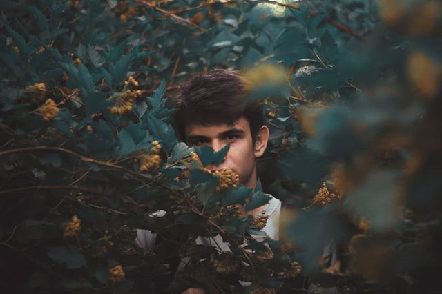 saibaken's tweet photo. Продолжаю постить раз в месяц, мда .
.
.
.
.
.
.
.
.
.
.
#portraits_mf #portraitpage #portraitphotography #portrait #summer #leaves #sonya58 #sonyalpha #yellow #green https://t.co/VMdUMY6zhO https://t.co/Oq0UDxPNbT