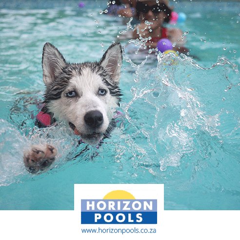 HorizonPools1's tweet photo. Let us build your very own swimming pool for the arrival of Summer. You’ll love it, your kids will love it, and your pets will love it to! Most of them at least.

Learn More: https://t.co/1oCdvgFhTr https://t.co/HVaZFFVLjz