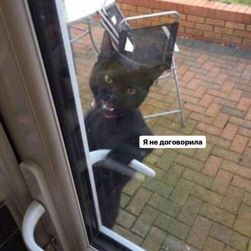 Russian Memes United tweet media